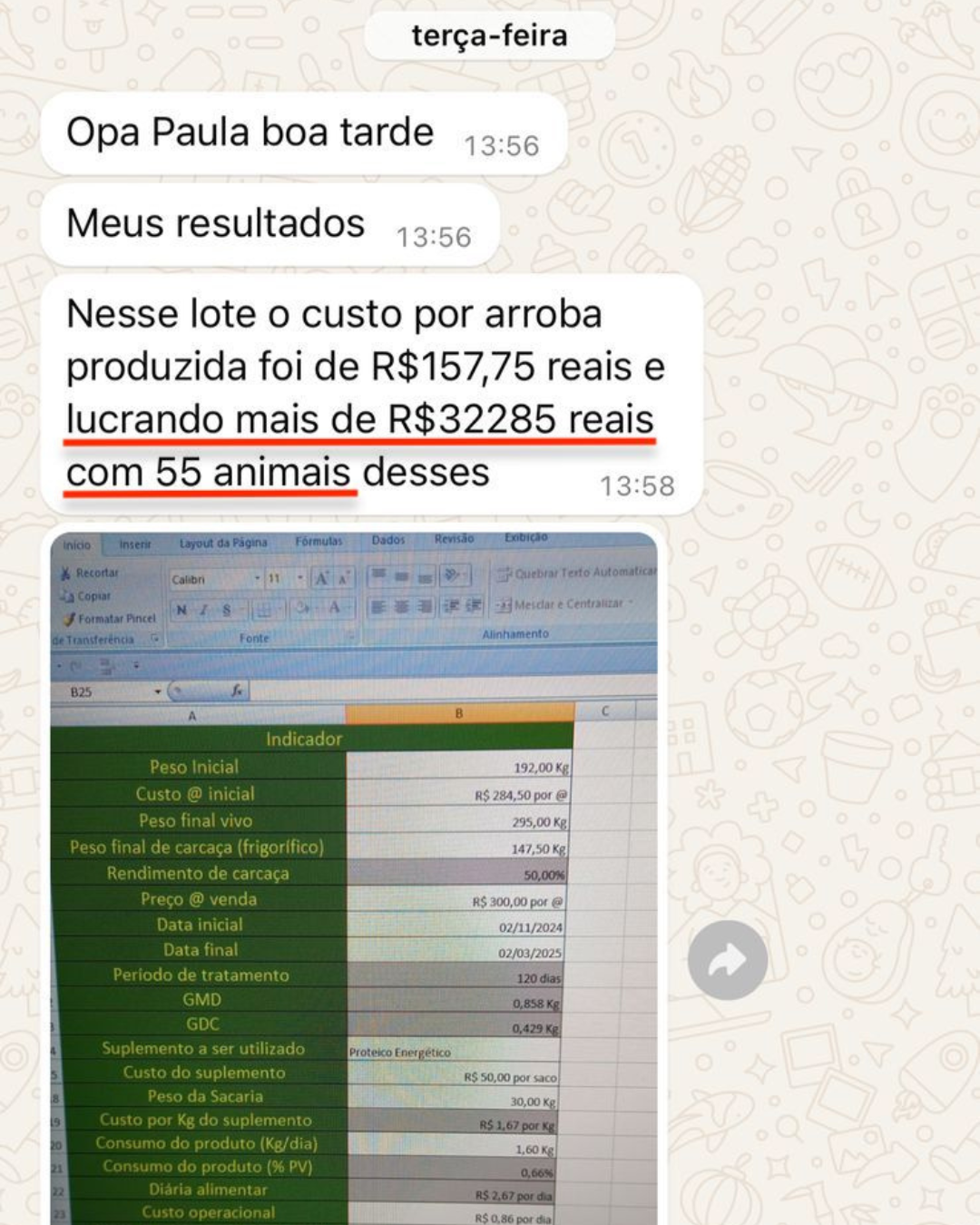 Depoimento aluno EPL — R$32.285 de lucro com 55 animais