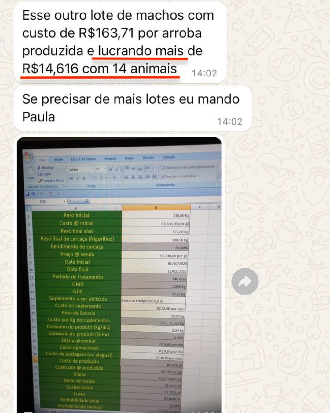 Depoimento aluno EPL — R$14.616 de lucro com 14 animais